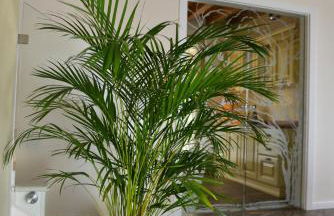 Appartamento Cesare - Foto 42