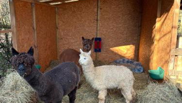 Forsthäuschen am Ponyhof - Foto 2