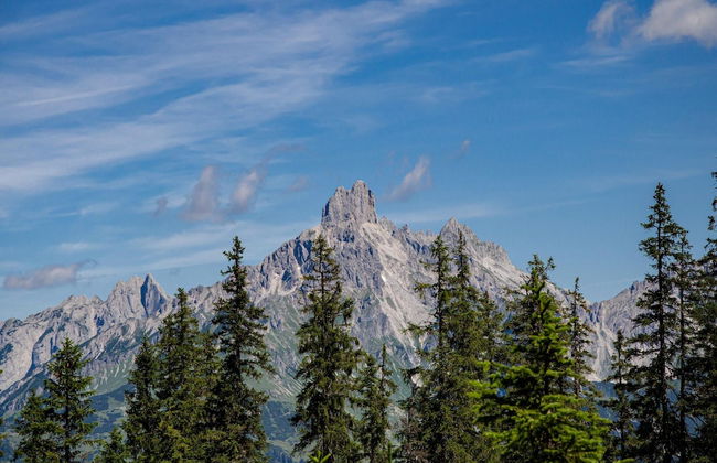 Apartment in Filzmoos Near Ski Amade - Photo 31