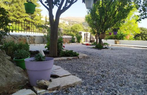 Dreamcatcher of Zeus - Foto 36