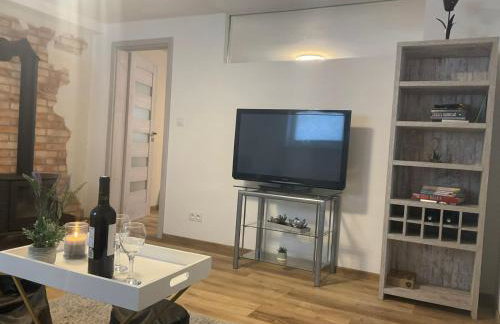 Wiejski Dom w Karkonoszach - Foto 21