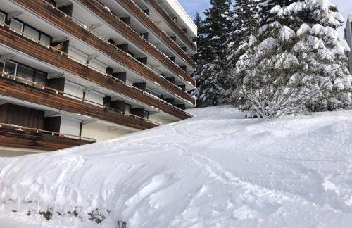 Charmant studio cabine COSY à 100 m des pistes - Foto 27