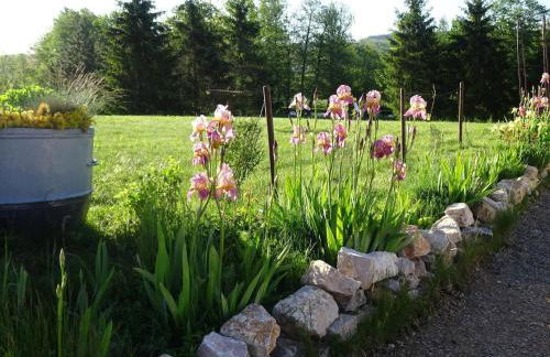 Maison de caractère à Gy avec parking et Wifi - FR-1-583-448 - Foto 29