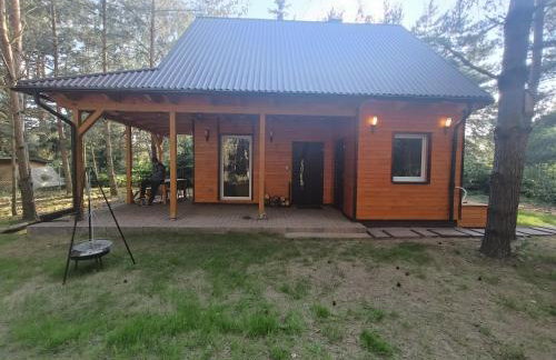 Domek nad jeziorem Wilczyńskim - Foto 2