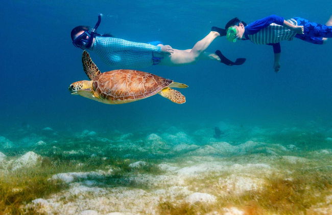 Snorkeling con tartarughe e mante giganti - Foto 4