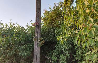 Agroturystyka Cisza Knyszyńska - Foto 29