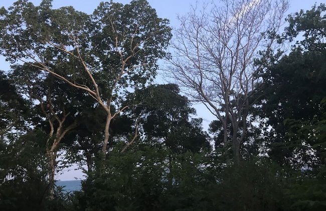 Cocohuts Cambodia - Foto 52