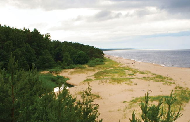 Rabarberi LV - SeaSide Village - Foto 37