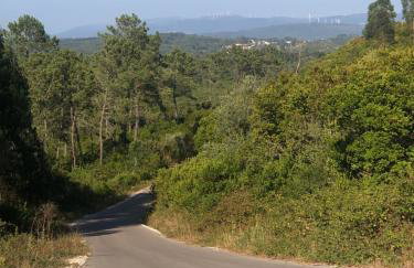 Casa do Papillon - Foto 22