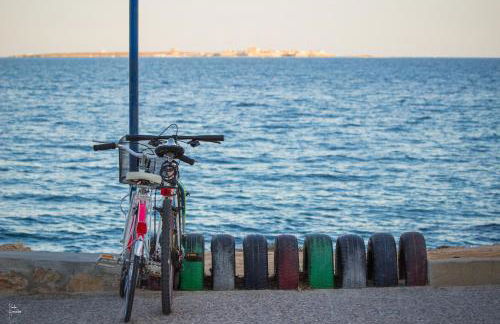 Santa Pola, Gran Alacant, Playas cerca, adosado completo, Chillout, Solarium - Foto 36