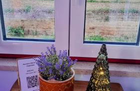 Pátio da Eira, Country House - Foto 30