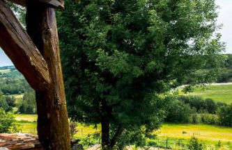 Le Mas des Papillons - Foto 19