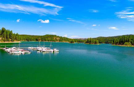 Home in the Pines - Apple Hill - Dog Friendly - Snow Nearby - Foto 41