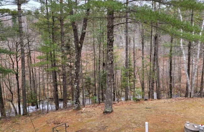 Cavalier #2 - Foto 24