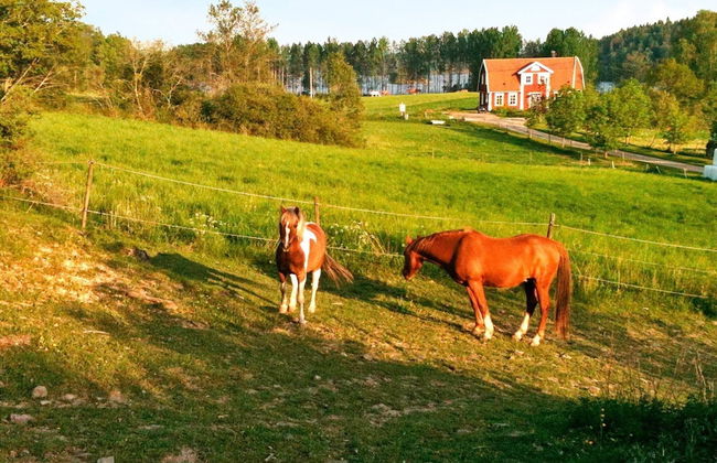 4 Person Holiday Home in Stjarnhov - Foto 22