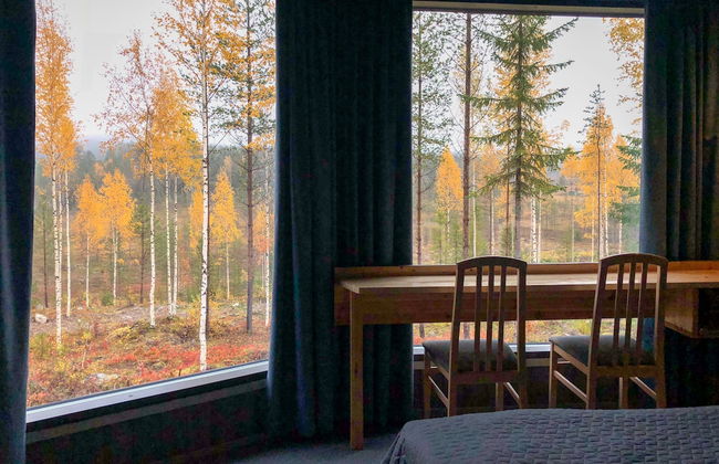 Bear Centre - Foto 5