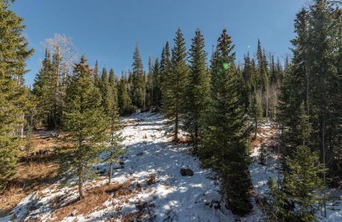 Ski In Ski Out to Chair 8 3rd floor No elevator - Foto 15