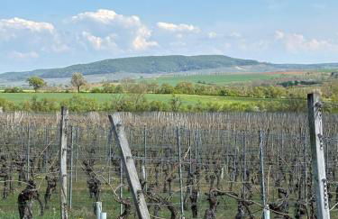 Gemütliche Ferienwohnung - Studio - an der Obernbreiter Kanzel - 50 m bis zu den Weinbergen - Foto 14