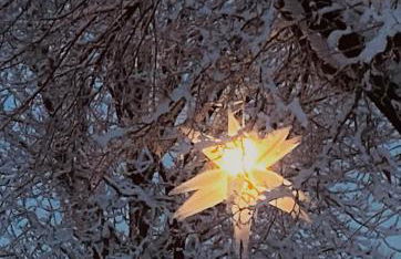 Bernstorfshof - Foto 41