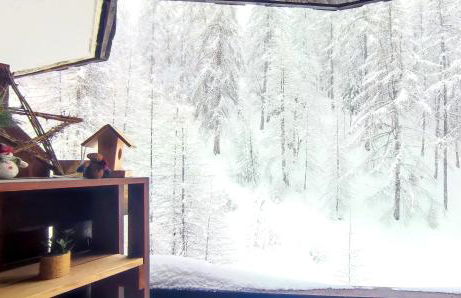 Le Petit Aupillon - L'Aupillon des Forêts - 2 studios cocooning aux Orres - Photo 25