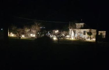 Etna, salvia e rosmarino - Foto 46