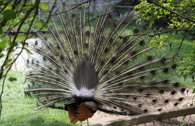 Ferienhof Fenzl - Foto 28