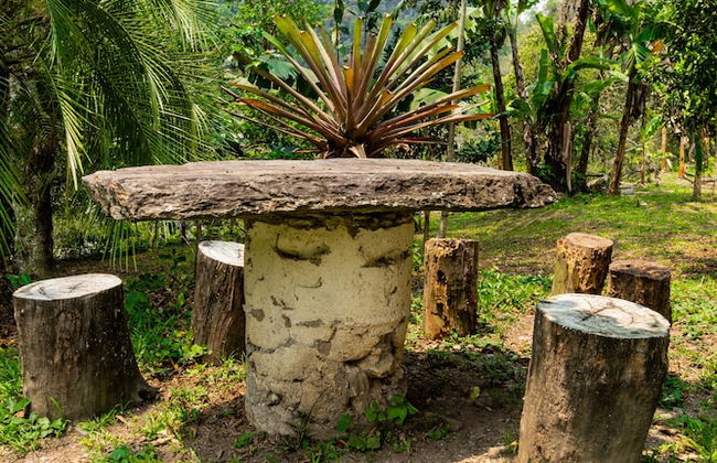 Casa de campo Los Yungas - Photo 12