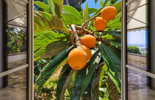 Villa Tommaso Maruggi, Sicilia, con Jacuzzi e piscina privata - Foto 53