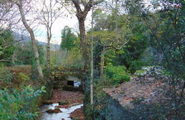 Quinta de Barbêdo - Turismo Rural - Foto 68