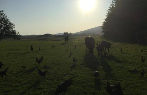 Castleview @ Newton Steading Farm - Foto 74