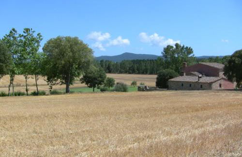 El Mas Pla - Foto 38