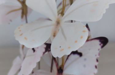 Nefeli Seaside Apartment Elegant Stay Near the Beach - Foto 49