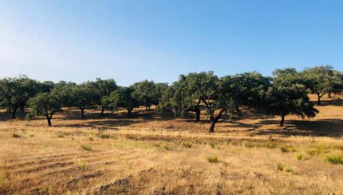 Casa do Forno Évora retreat - Foto 4