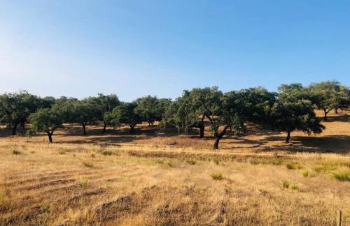 Casa do Forno Évora retreat - Foto 4