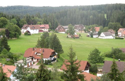 Ferienwohnung Schwarzwald Oase Kniebis - Foto 27