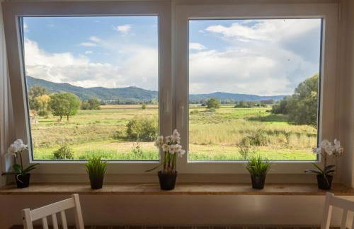 Pension Nickel Ferienwohnung DG Am Holzlachgraben - Foto 22