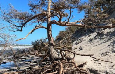 Apartament Szept Morza - Foto 8