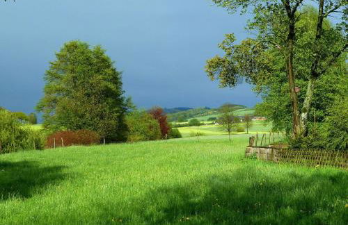 Ferienhaus Schmallenberg nahe Skibus - Foto 14