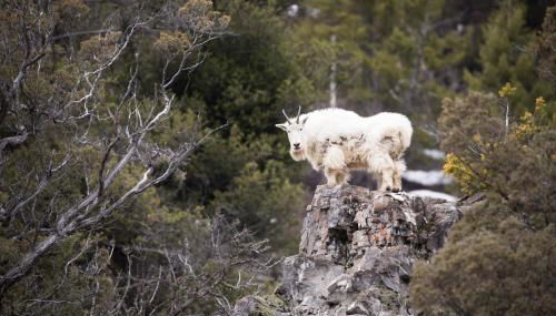 Alpine Airspace by KABINO Airpark Foosball Garage Satellite - Foto 2