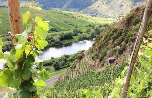 Ferienhaus Bullay - Foto 80