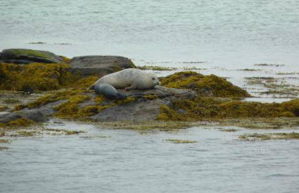 Ceannard Cottage - Foto 27