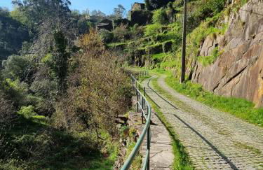 Canastro Nature Spot - Foto 50