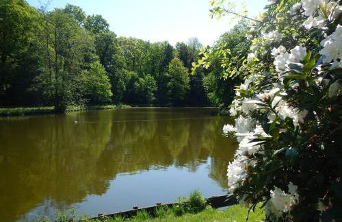 Güden Pearl Bhaven Deck 6 ,Exklusive große Wohnung,Hochwertige Ausstattung,Privatparkplatz & Carport,Großer Garten mit Gartenhaus,Langzeitaufenthalt - Foto 16