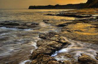 Cottage near Corfe & Jurassic Coast - Foto 69