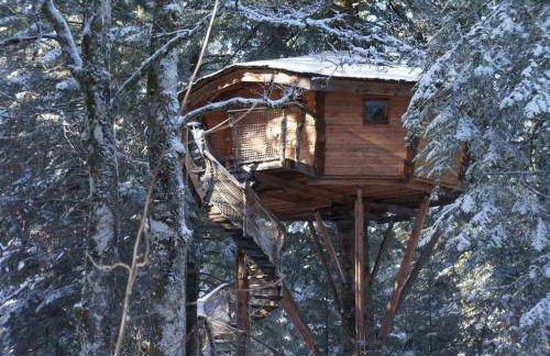 Cabanes des Volcans - Foto 18