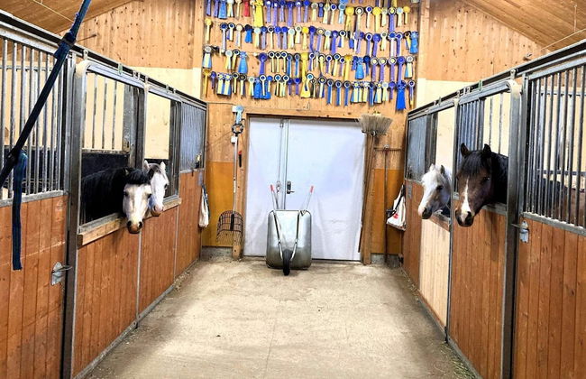 4 Person Holiday Home in Burtrask - Photo 14