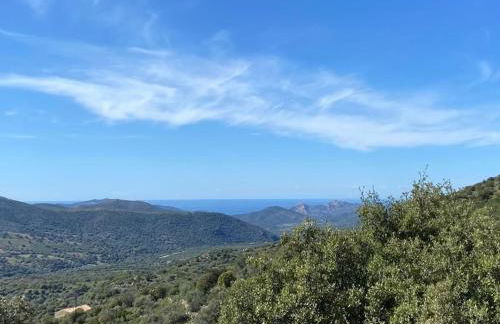 L'Olivella - Foto 20