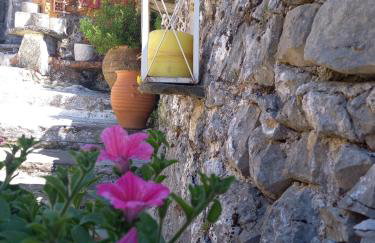 Alexadras Guesthouse - Photo 27