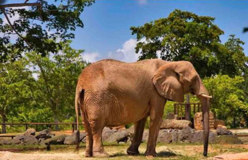 Amazing & cozy Duplex near Zoo Miami ! - Foto 87