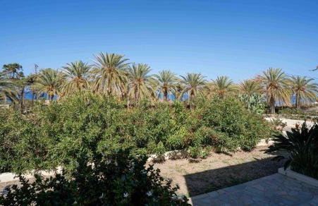 Carissa house in Crete - Foto 33